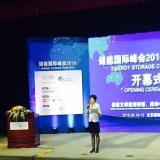 林洋能源亮相2016儲能國際峰會帶來儲能與微電網商業(yè)模式分析